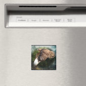 Aimant Dans l'aimant Sky (In Situ (Lave-vaisselle))