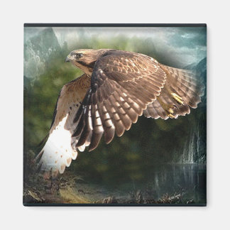 Aimant Dans l'aimant Sky