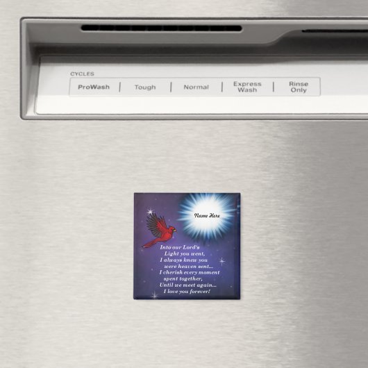 Aimant Dans le cardinal léger (In Situ (Lave-vaisselle))