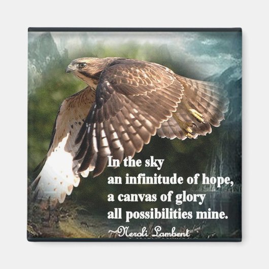 Aimant Dans Le Ciel (Devant)