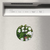 Aimant Dans Le Jardin ~ Fleurs De Dogwood (In Situ (Lave-vaisselle))