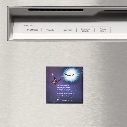 Aimant Dans Le Papillon Léger (In Situ (Lave-vaisselle))