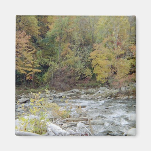 Aimant Dans les bois (Devant)