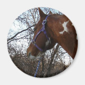 Aimant Dans les bois je regarde (Devant)