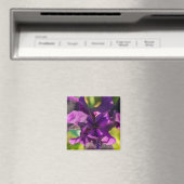 Aimant Dans Un Iris (In Situ (Lave-vaisselle))