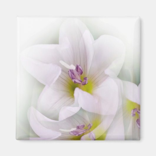 Aimant danse des fleurs (Devant)