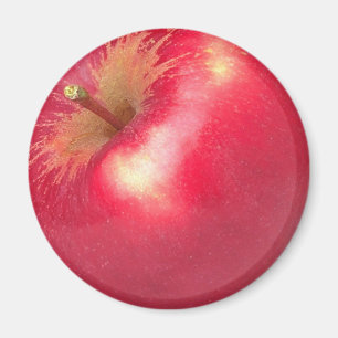 AIMANT D'APPLE POUR DES PORTES DE RÉFRIGÉRATEUR