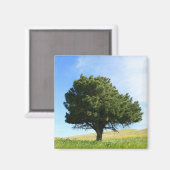 Aimant d'arbre unique (Recto/Verso)