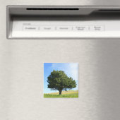 Aimant d'arbre unique (In Situ (Lave-vaisselle))