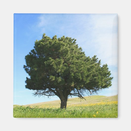 Aimant d'arbre unique (Devant)