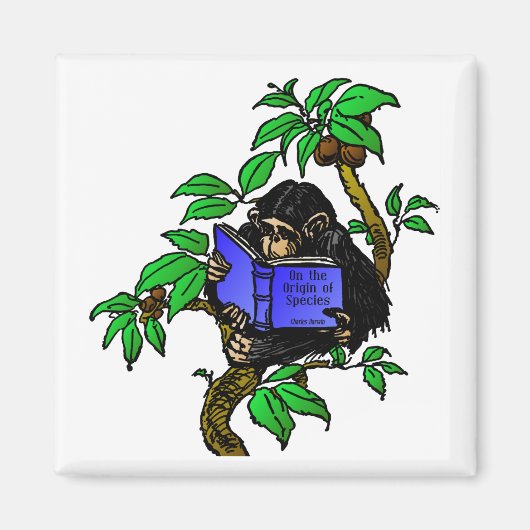 Aimant Darwin Fan (Devant)