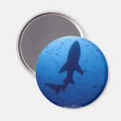 Aimant d'attaque de requin (Recto/Verso)