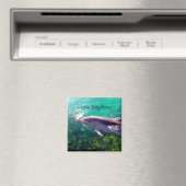Aimant dauphin (In Situ (Lave-vaisselle))