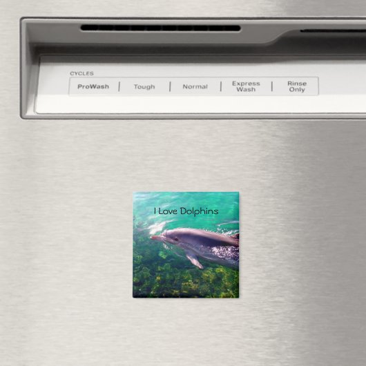 Aimant dauphin (In Situ (Lave-vaisselle))