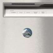 Aimant Dauphin à bec (In Situ (Lave-vaisselle))