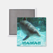 Aimant Dauphin d'Hawaii (Recto/Verso)