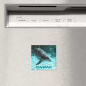 Aimant Dauphin d'Hawaii (In Situ (Lave-vaisselle))