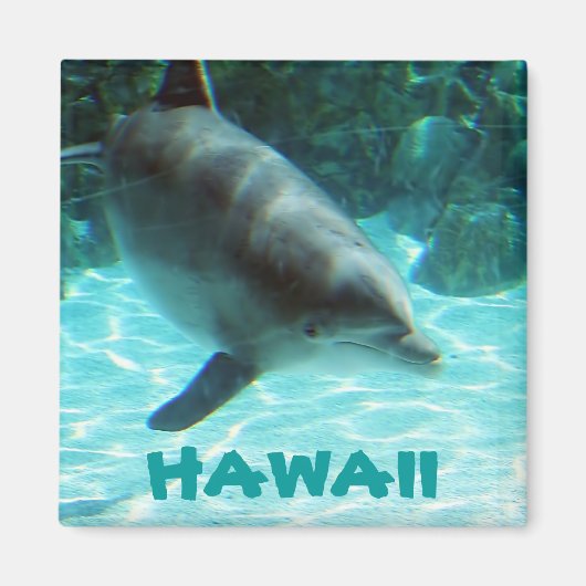 Aimant Dauphin d'Hawaii (Devant)