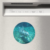 Aimant Dauphin mignon (In Situ (Lave-vaisselle))