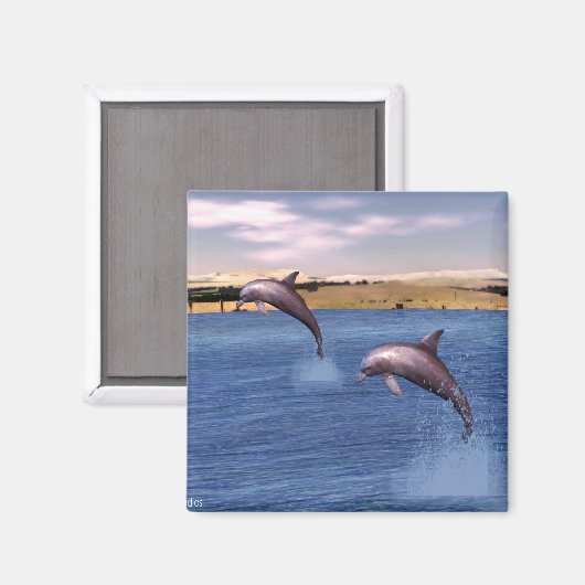 Aimant Dauphins (Recto/Verso)