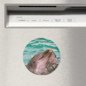 Aimant Dauphins (In Situ (Lave-vaisselle))
