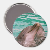 Aimant Dauphins (Recto/Verso)