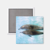 Aimant Dauphins spineurs | Oahu Hawaii (Recto/Verso)