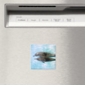 Aimant Dauphins spineurs | Oahu Hawaii (In Situ (Lave-vaisselle))