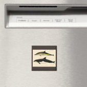 Aimant Dauphins vintages, animaux marins et mammifères (In Situ (Lave-vaisselle))