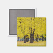Aimant d'automne (Recto/Verso)