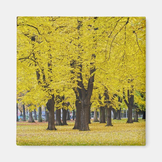 Aimant d'automne (Devant)