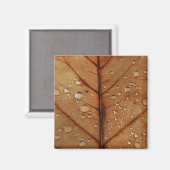 Aimant d'automne (Recto/Verso)