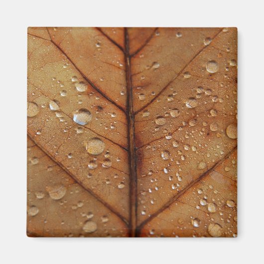 Aimant d'automne (Devant)