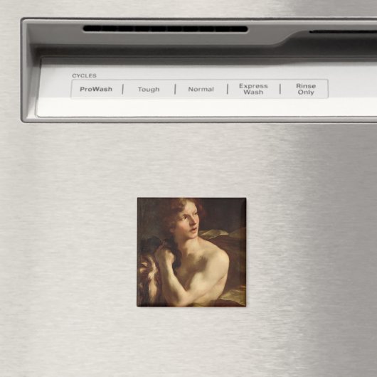 Aimant David (In Situ (Lave-vaisselle))