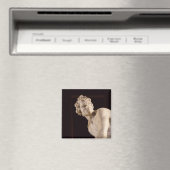 Aimant David, 1623-24 (marbre) (détail) (In Situ (Lave-vaisselle))