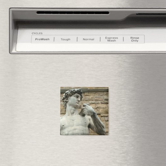 Aimant David 1 de Michel-Ange (In Situ (Lave-vaisselle))