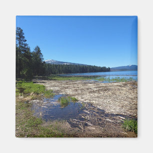 Aimant Davis Lake, Oregon