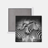 Aimant Dazzle de Zebra (Recto/Verso)