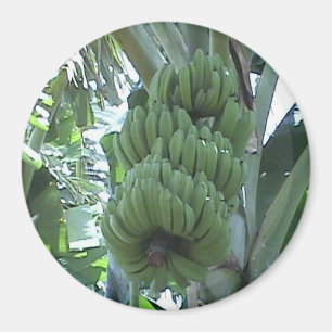 Aimant de banane