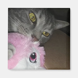 Aimant de bascule des pétales