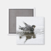 Aimant de beauté de bain (Recto/Verso)