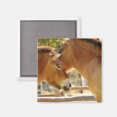 Aimant De beaux chevaux (Recto/Verso)