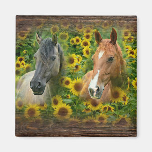 Aimant De beaux chevaux dans le champ de tournesols
