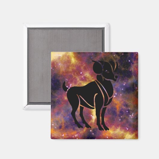 aimant de bélier (Recto/Verso)