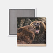 Aimant De Belles Ours Grizzly (Recto/Verso)