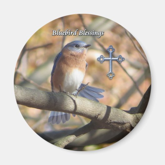 Aimant de Bénédiction des oiseaux bleus de l'Est. (Devant)