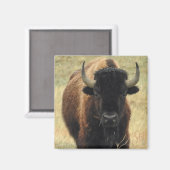 Aimant de bison américain (Recto/Verso)