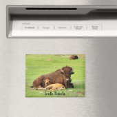 Aimant de bison avec veau (In Situ (Lave-vaisselle))