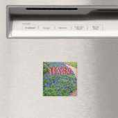 Aimant de bleuet du Texas (In Situ (Lave-vaisselle))