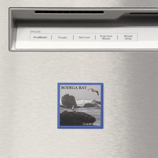 Aimant de Bodega Bay (In Situ (Lave-vaisselle))